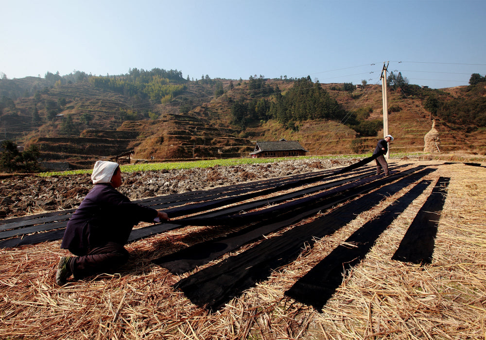 Dong tribe women sun-drying bright Dong cloth in the fields